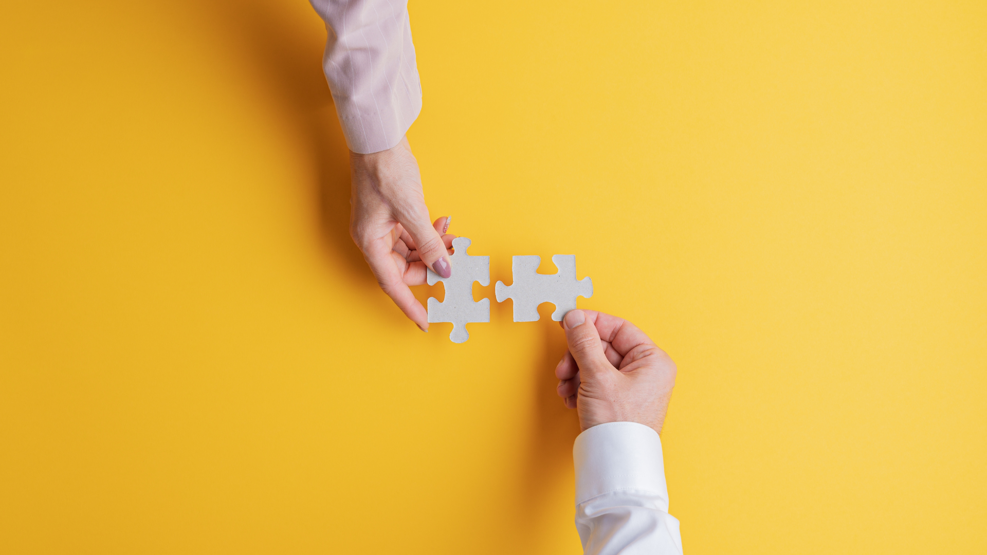 4 Types of Visionary/Integrator Partnerships
